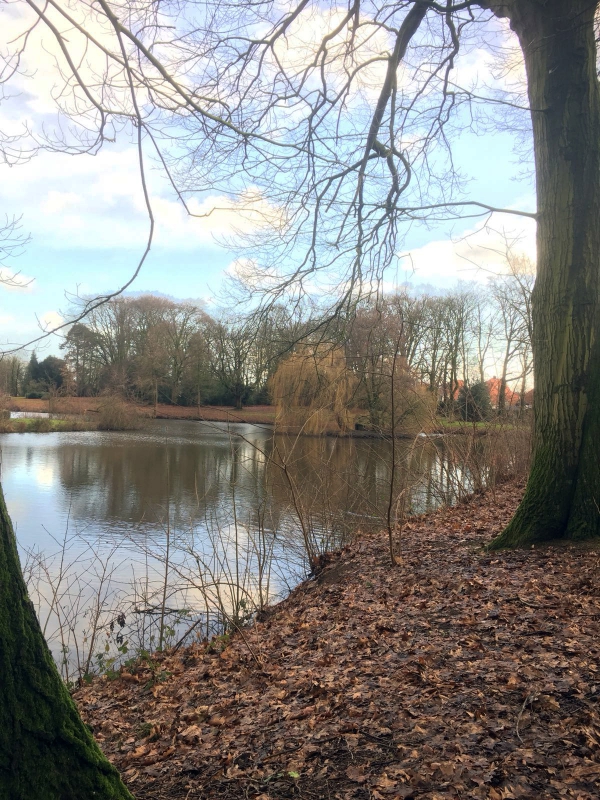 Het park in Coevorden.
