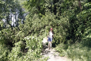 Een omgevallen boom blokkeert het pad.