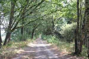 De route tussen Rolde en Schoonloo.