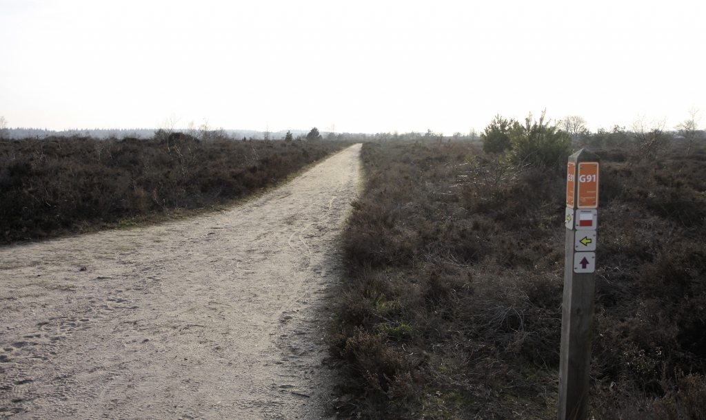 Een recht pad door de Sallandse Heuvelrug.