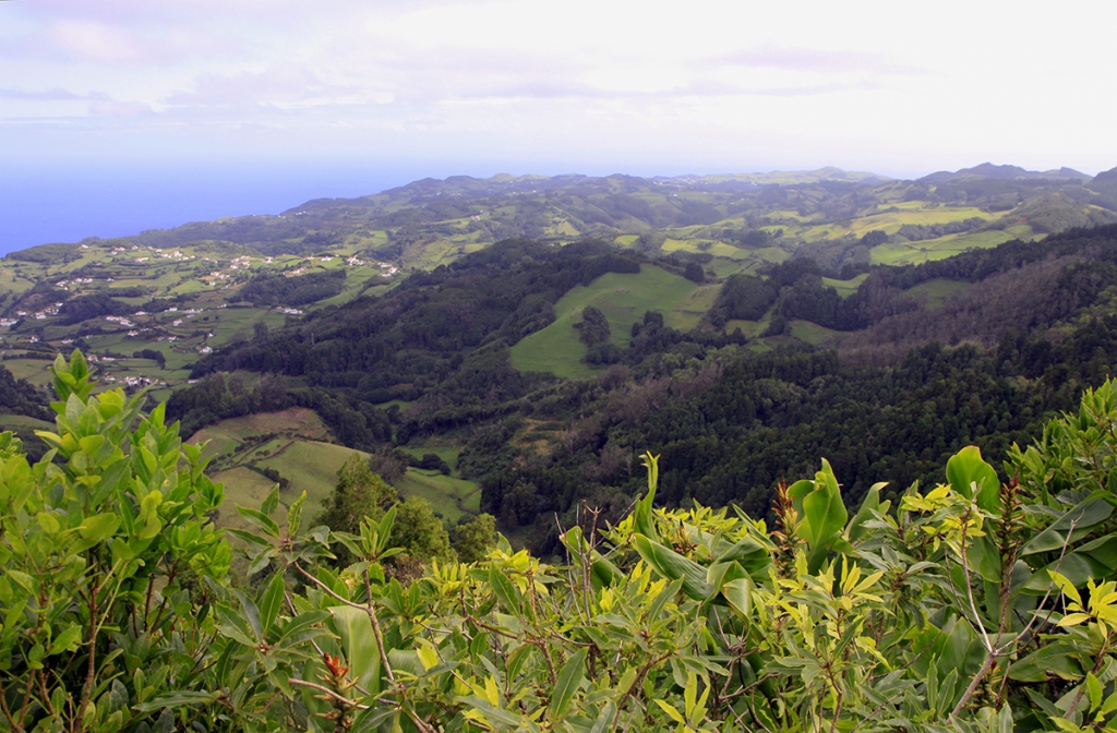 Azoren: uitzicht vanaf de Pico Alto