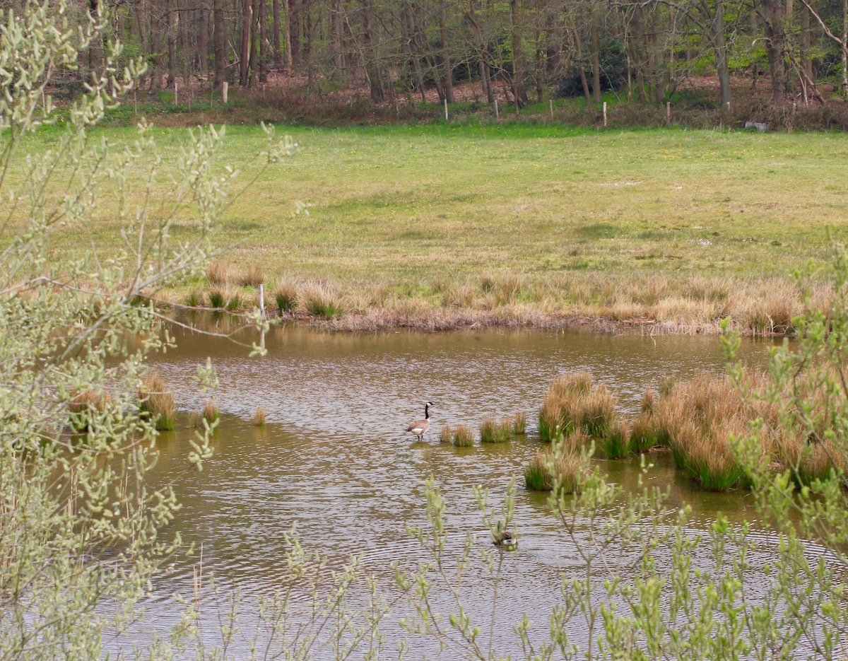 Aan de GR5 vlak voor Bergen op Zoom