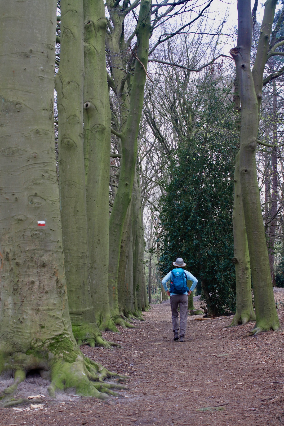 Op de GR5 onderweg naar Bergen op Zoom