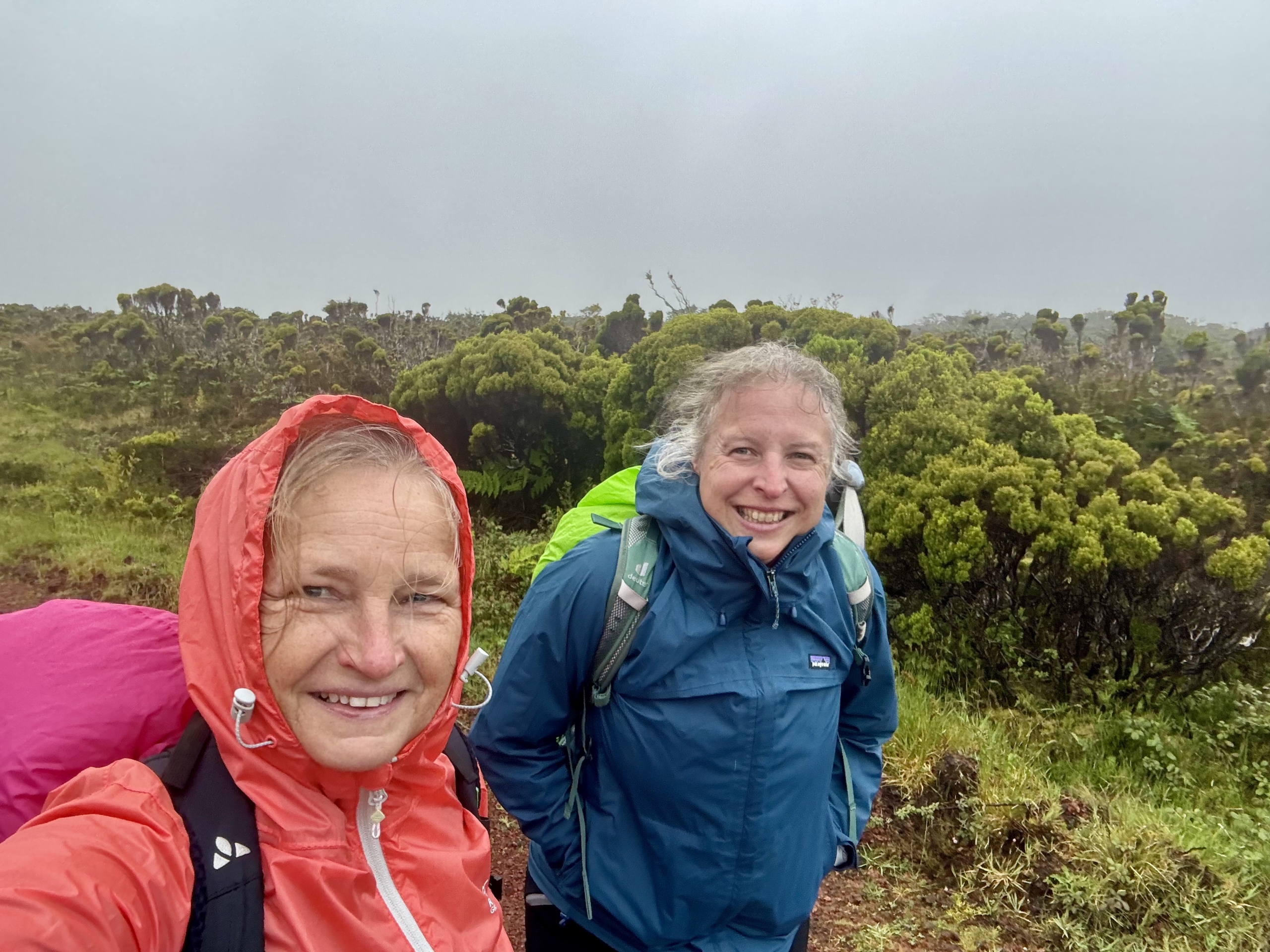 Wandelen op Pico