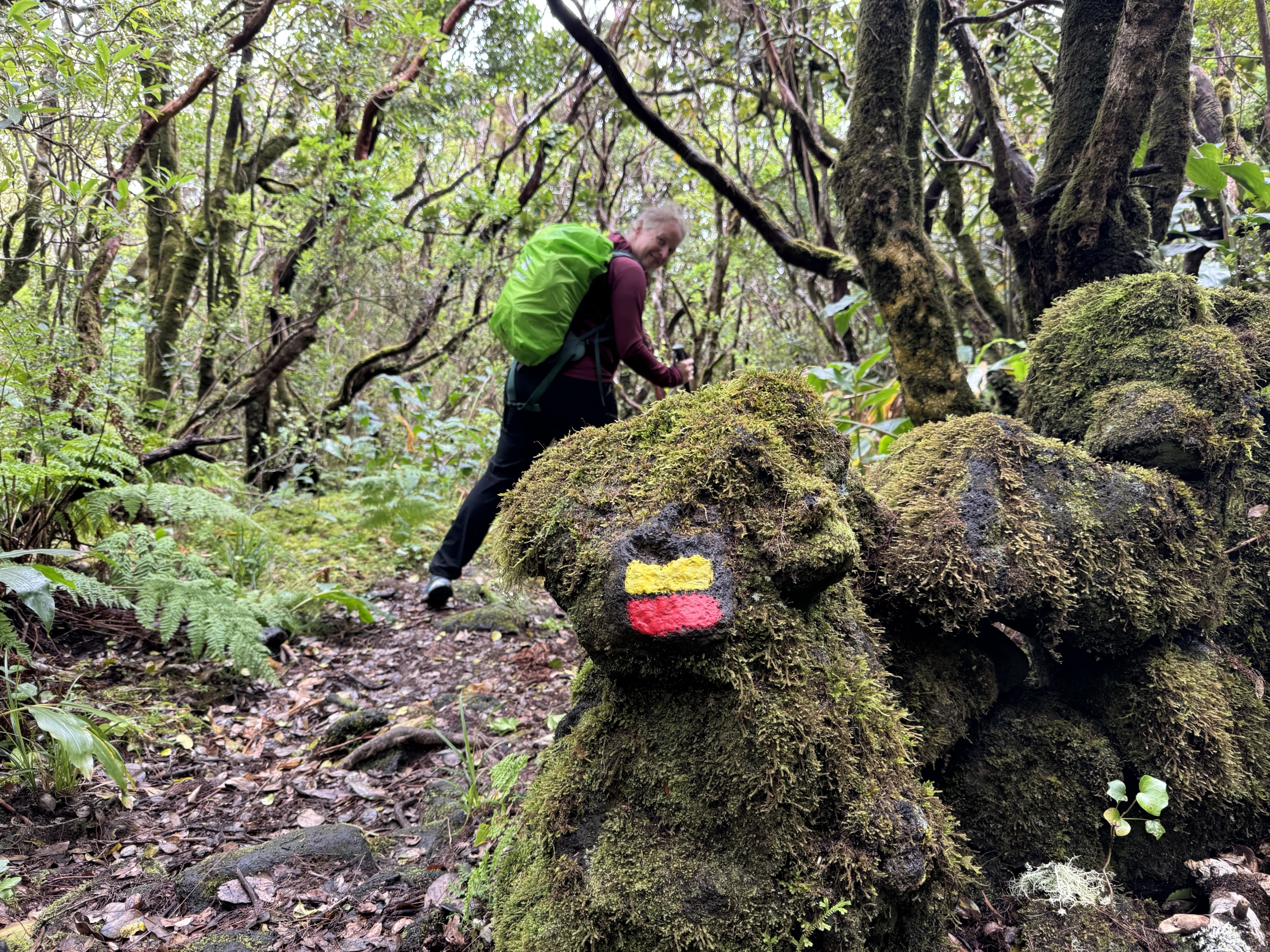 Een te gekke wandeling op Pico
