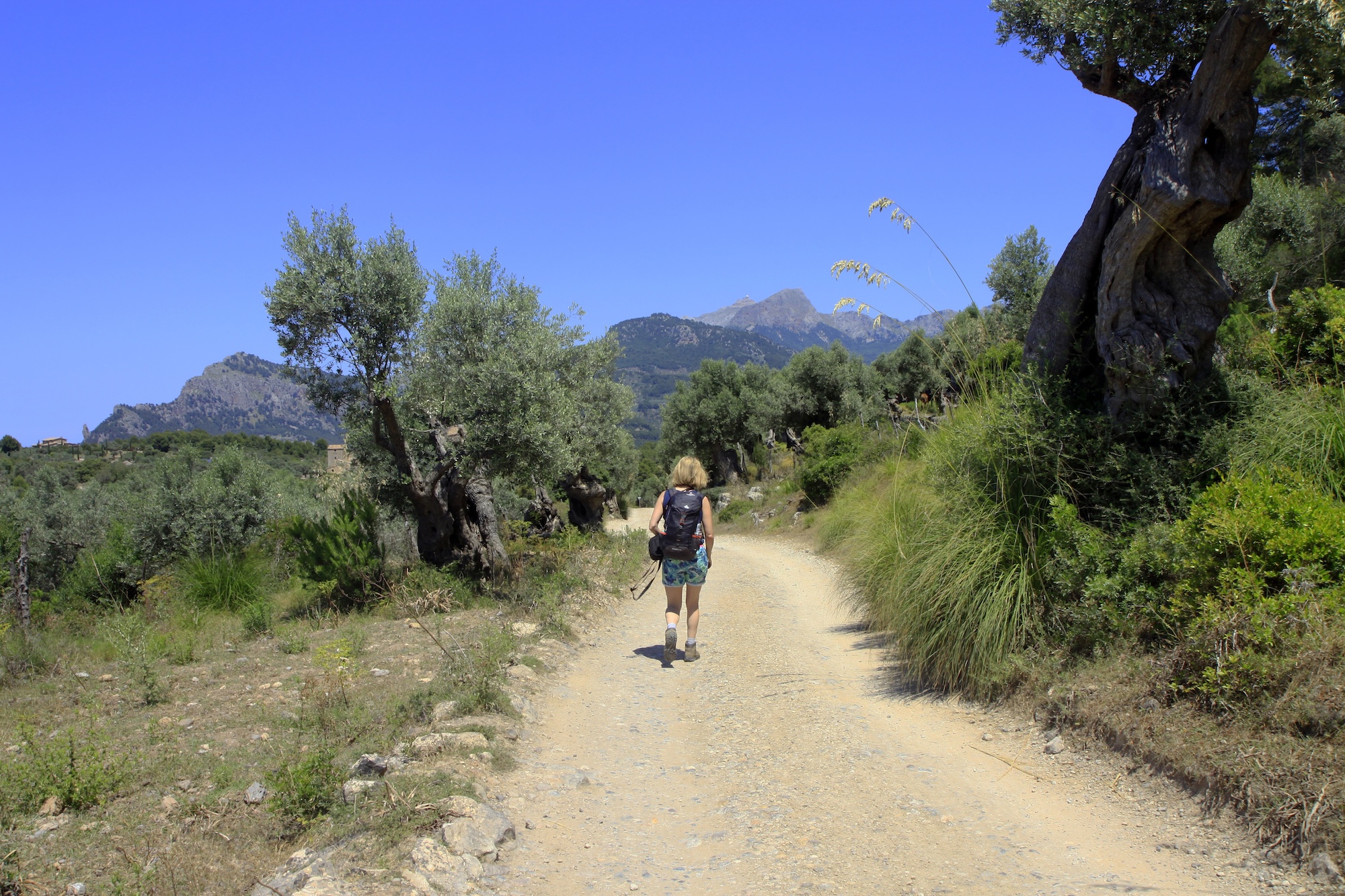 Wandelen op Mallorca