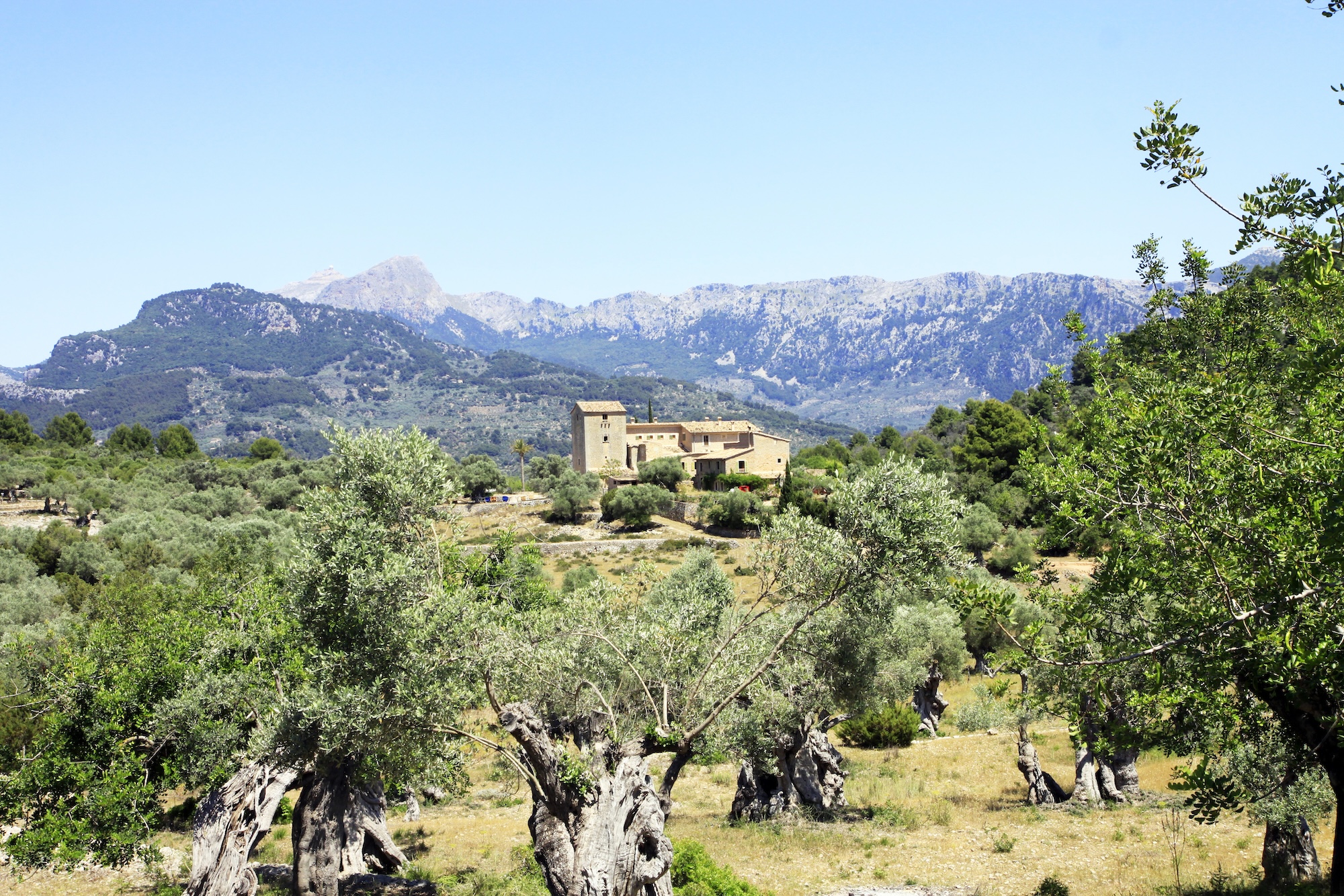 Het binnenland van Mallorca