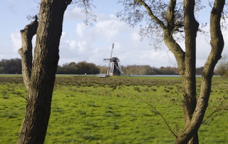 Terug naar de stad: Pieterpad etappe 3