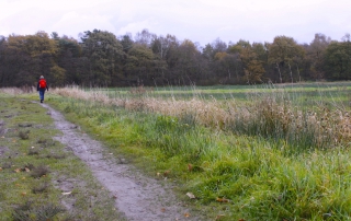 Over zenuwlijders en Berend Botje: Pieterpad etappe 4