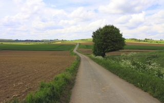 Uitgestrekte landschappen in het Vlaamse Heuvelland