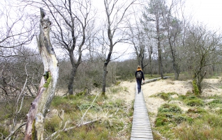 Eifelsteig etappe 2: het begin van de ‘echte’ Eifel