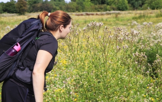 Wandelen door de natuur in Rivierpark Maasvallei