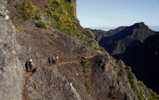 Madeira ontdekt: wandelen over de pico’s!