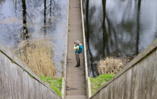 GR5 etappe 7 Nieuw Vossemeer- Bergen op Zoom: van natuur naar cultuur