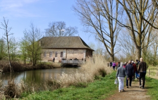 Wijerstrail